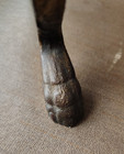 Vintage Cast Iron Footstool , Scrolled Claw Feet (not original fabric) — photo 7