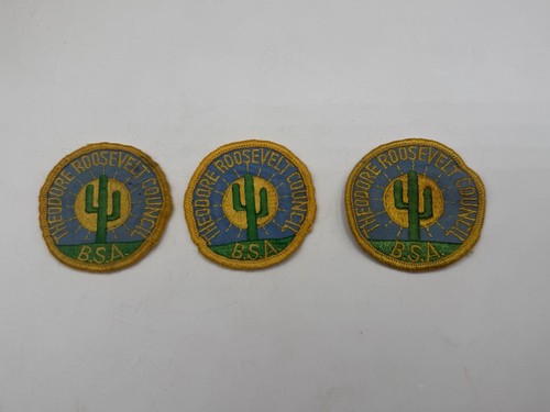 3 BSA Theodore Roosevelt Council Patch Vintage Used Boy Scouts Saguaro Cactus