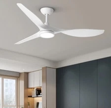 Roomratv Ceiling Fan