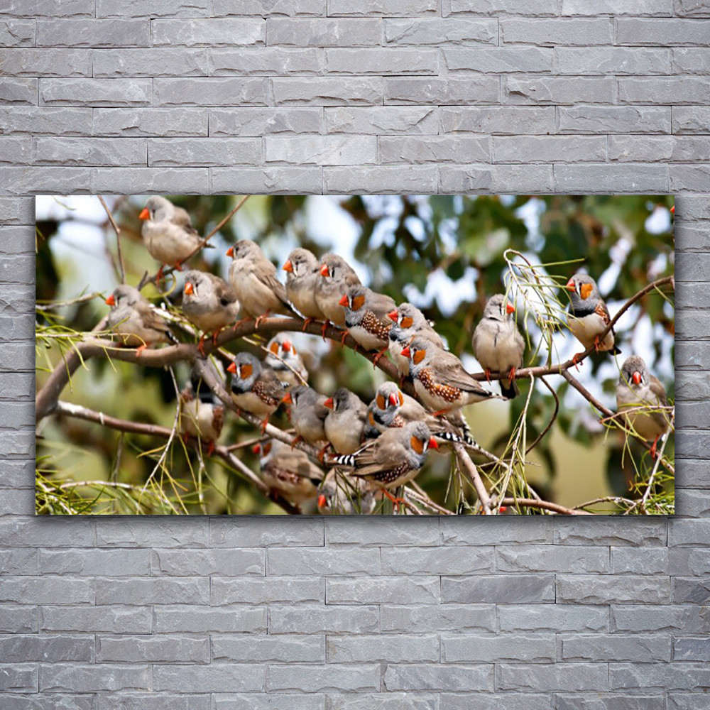 Tableau oiseaux sur verre acrylique haute définition 120x60