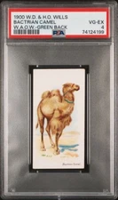 1900 Wills Wild Animals Of The World (Green Back) BACTRIAN CAMEL PSA 4 VG-EX