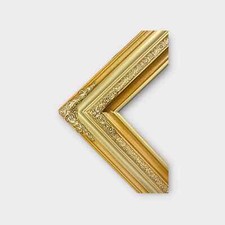 11 x 14 In Stock Ready to Ship Traditional compo ornate wood frame, Light gold