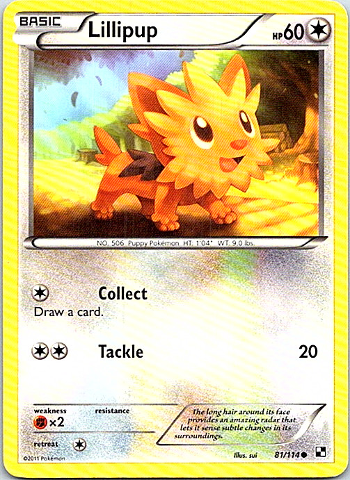 Lillipup 81/114 Pokemon Black & White Regular Light Play