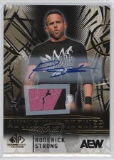 2025 SP Game Used AEW Wrestling Checklist Guide in-content 39