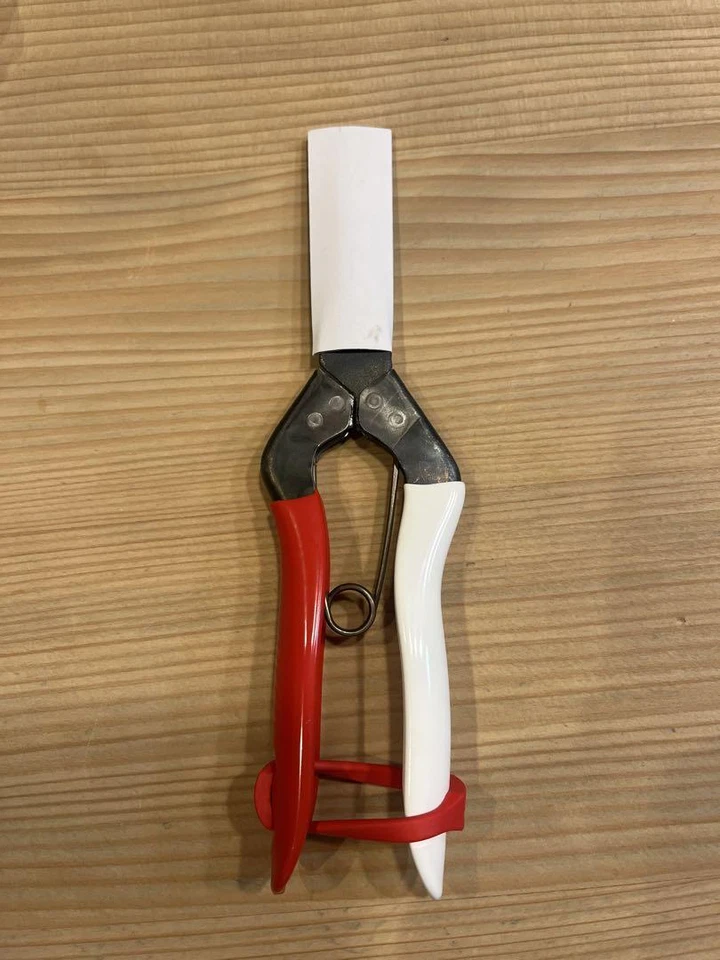 OKATSUNE Stainless steel Grape Scissors B-500S No.304 Made in Japan New - Image 4 of 4