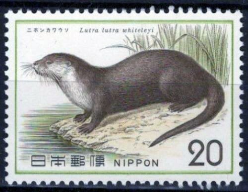 ヤマッチ　21.31 ZAYIX Japan 1171 MNH Wildlife Animals Nature Otter