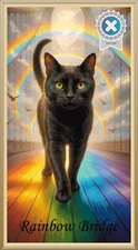 Crossing Over the Rainbow Bridge Cross Stitch Chart Full Coverage Pattern Keeper