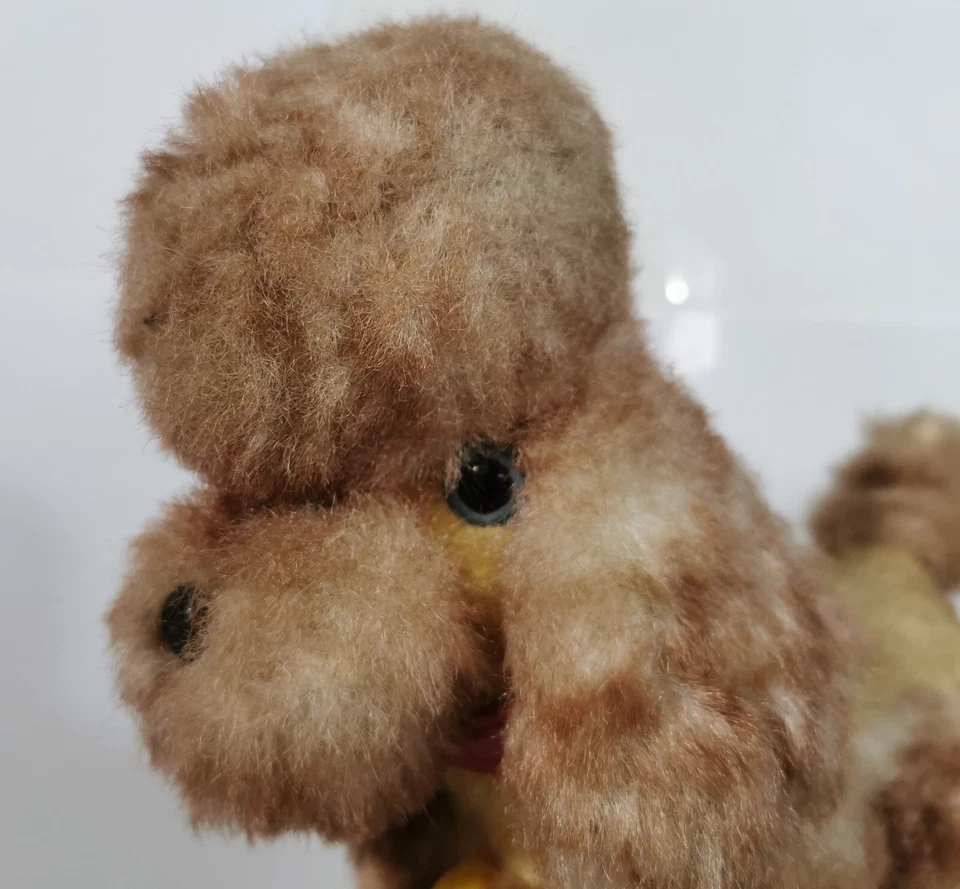 ANCIEN CANICHE SUR ROULETTE - CREATION TRENO YEUX EN VERRE - ANTIQUE STUFFED TOY - Photo 3/4