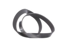 DAYCO Keilrippenriemen 892,0mm für OPEL Tigra Coupe (S93) für MINI Cabrio (R52)