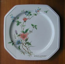 MIKASA ADRIENNE CHINA 10 3/8" DINNER PLATE VERY RARE (S)