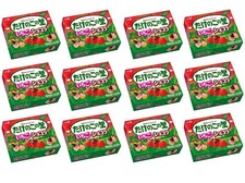 Japón Fresa Chocolate CHOCOCONES Galletas Galletas Snack Comida Dulce MEIJI 61g