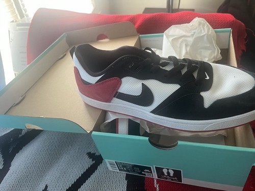 Nike Dunk Alleyoop Low Size 10