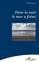 Eliza Djaouti | Dans La Nuit Le Mur A FréMi | Taschenbuch | FranzöSisch (2023)