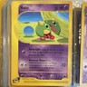 Pokémon Natu 80/144 Skyridge Basic Common 50 HP Regular English Miki Tanaka
