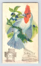 Household Sewing Machine Cardinal Bird 1890s Victorian Trade Card 5" x 3"