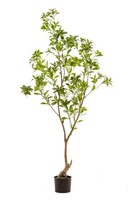 Artplants Kunstbaum Teepflanze Gushon, Kunststamm, GrüN, 185Cm