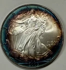 2005 American Silver Eagle — photo from another recent sale
