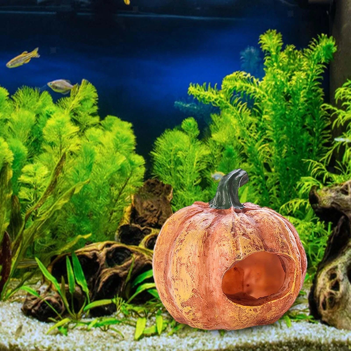 Tabletop fish tank cheap
