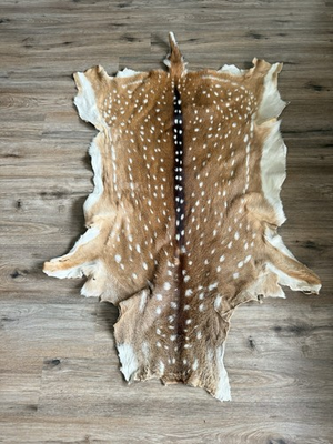#ad Large Genuine Axis Deer Hide 57quot; x 34quot; Natural Spotted Deer Skin Rustic West $255.00