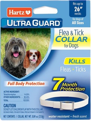 Hartz UltraGuard Flea & Tick Collar for Dogs & Puppies 26'', 7 Month Protection