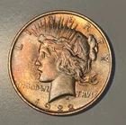 1922 Peace Silver Dollar With Rainbow Toning And Sharp Details!