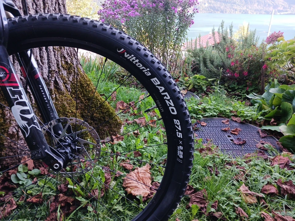 Carbon Mountainbike  - Bild 2 von 4