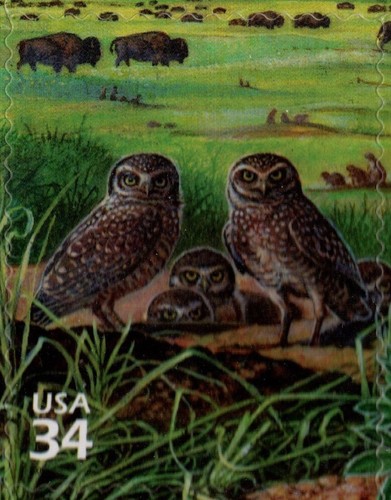 USA 2001 NATURE OF AMERICA, GREAT PLAINS PRAIRIE, 3rd SERIES, SCOTT 3506 MNH - Picture 5 of 13