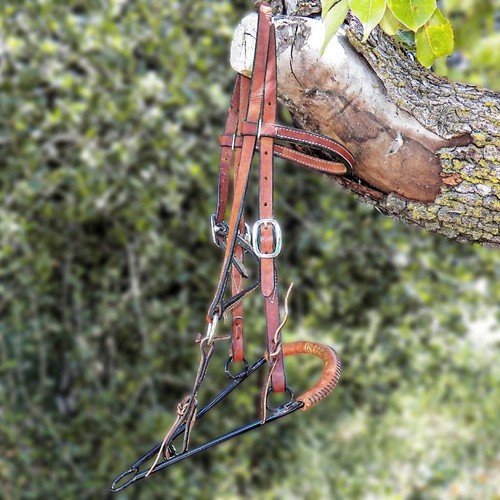 Rick Wheat Nouvel Headstall Training Bitless Bosal Hackamore with Split Reins - Picture 3 of 9