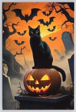 Halloween Black Cat on Jack-o'-Lantern New 2025 Postcard UNP 4x6