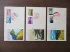 Japan Stamp First Day Cover National Park and Quasi-national Park 3 Covers 1967