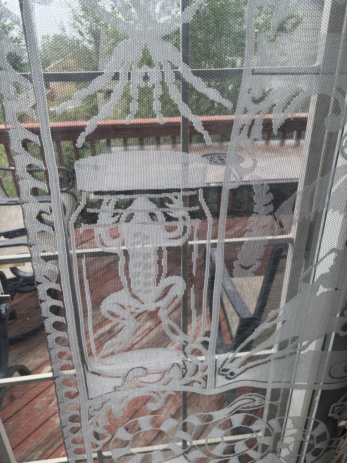 Picture 6 of 11