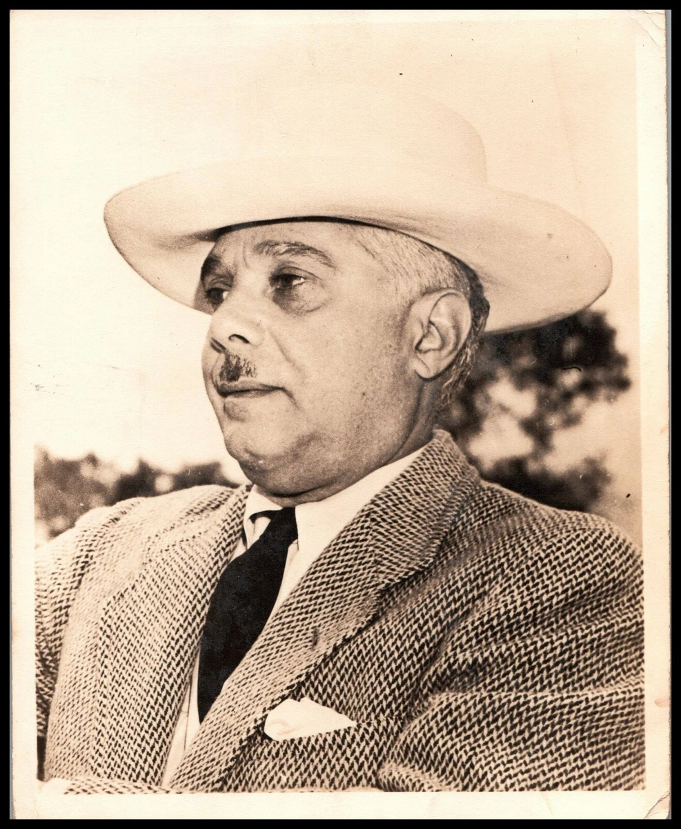 TRUJILLO'S ベスト | comonuevo.com.co