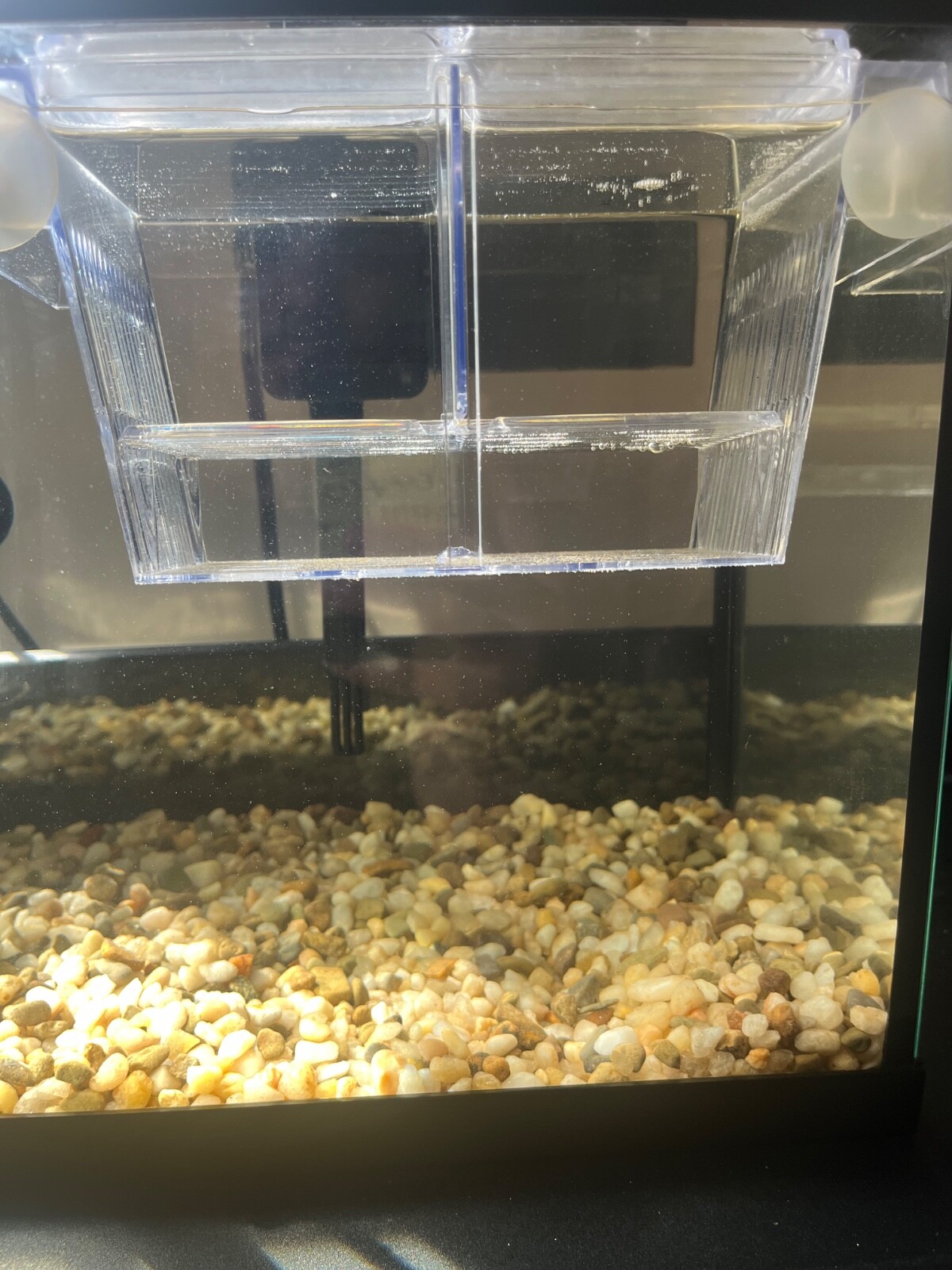 Picture 6 of 9