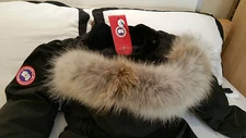 BRAND NEW RED LABEL CONCEPT EDITION BLACK CANADA GOOSE TRILLIUM LG PARKA JACKET