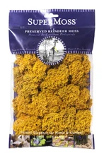 SuperMoss 25125 Reindeer Moss Preserved, Mango, 2oz for Crafts & Decor