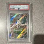 Pokémon Meowth 192/SV-P Sv-P Promo Holo Japanese PSA 10 2024