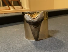 Gold Shark Tooth Cuff Bracelet by Charles Albert – Unique Fossilized Jewelry