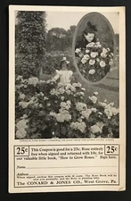 Antique Postcard The Conrad & Jones Rose Company With Detatchable Coupon