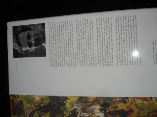 A SENSE OF PLACE: THE ARTIST & THE AMERICAN LAND Alan Gussow art history - Picture 13 of 14