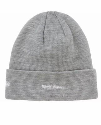 Supreme New Era Box Logo Beanie (FW22) | eBay
