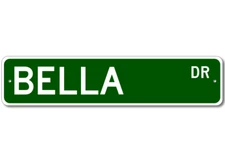 Bella Drive Street Sign Personalized Custom Last Name Metal Sign - Aluminum