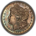 1902 $1 Morgan Silver Dollar - Watercolor Rainbow Toning - UNC  - SKU-D7410