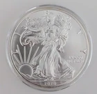 2020 American Silver Eagle Walking Liberty 1 Troy Oz .999 Silver Bullion Coin