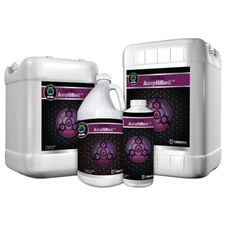 Cutting Edge Cal Mag Amplified