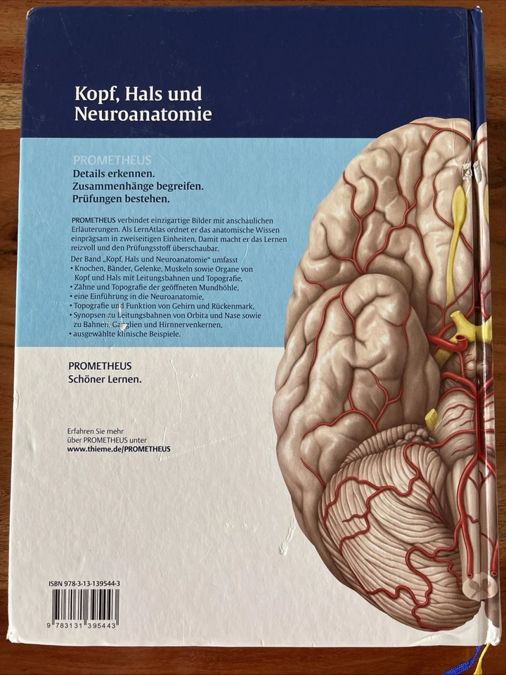 Prometheus Kopf, Hals und Neuroanatomie: LernAtlas der Anatomie - Bild 2 von 3