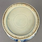 Foto 7 di 15