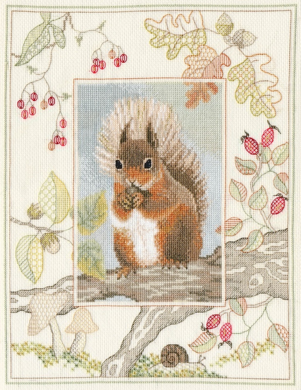 Bothy Threads Derwentwater Designs Wildlife - Red Squirrel Cross Stitch Kit