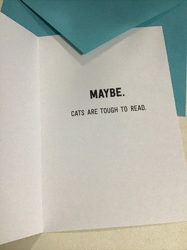 My Cat Is Really Excited About Your Birthday Funny 5”x7” Hallmark Greeting Card - Picture 2 of 4