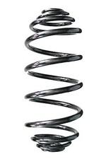 SPIDAN Fahrwerksfeder Hinterachse für RENAULT