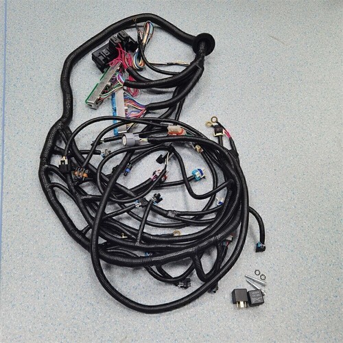 DBW 03-07 LS Vortec Stand alone Wire Harness Drive by wire 4L60E 4.8 5.3 6.0 US! - Picture 16 of 16